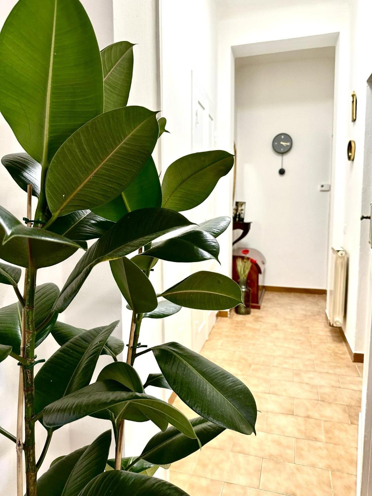 比萨Casa Ganza别墅 外观 照片